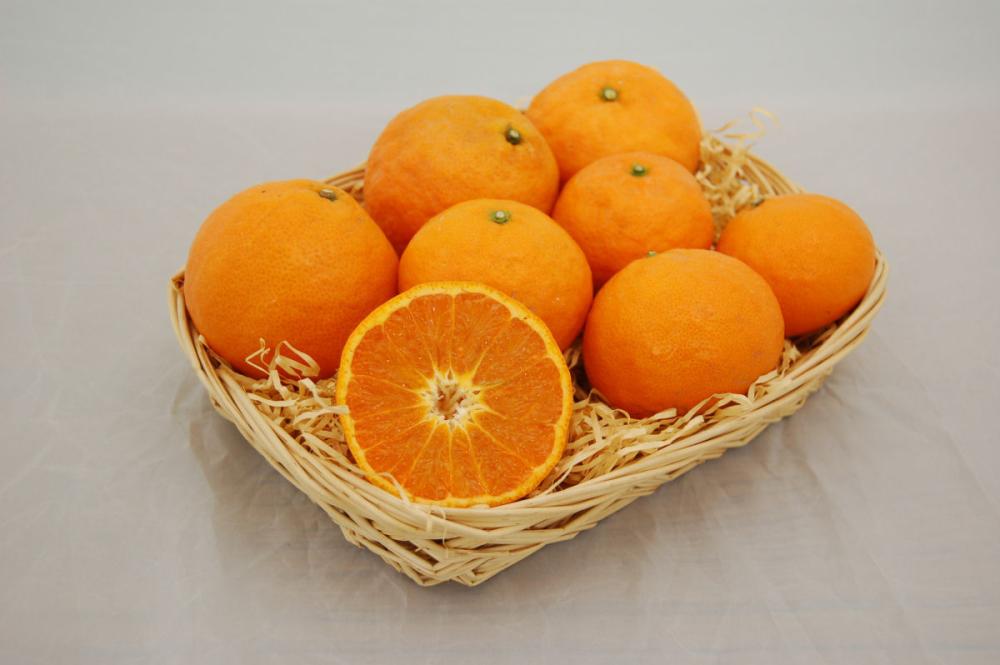 なつみ　３Ｌサイズ　約４．２ｋｇ（１８玉前後）【和歌山県有田川産】【注文期限：2026年4月30日】