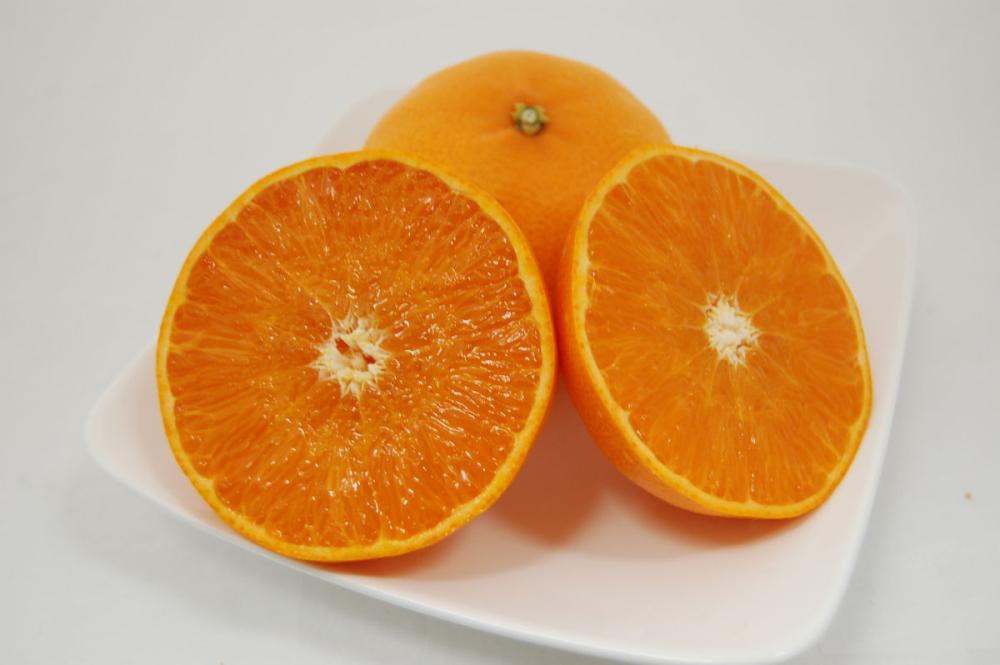 完熟せとか　３Ｌサイズ　約４．５ｋｇ（１８玉前後）【和歌山県有田川産】【注文期限：2026年3月31日】