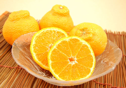 木成り完熟イチローデコ　２Ｌサイズ　約５ｋｇ（１８玉前後）【和歌山県有田川産】【注文期限：2026年4月25日】