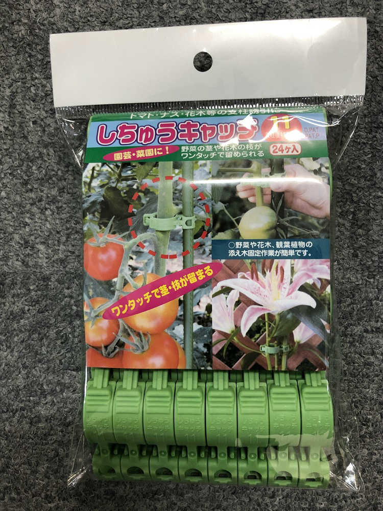 しちゅうキャッチ　１１ｍｍ　２４Ｐ