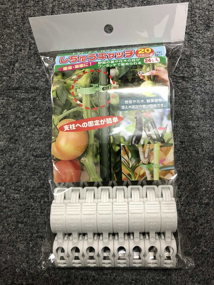 しちゅうキャッチ　２０ｍｍ　２４Ｐ