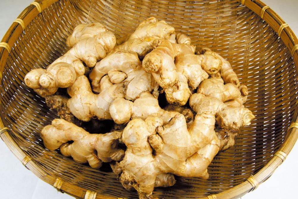 国産　三州生姜　１８０ｇ