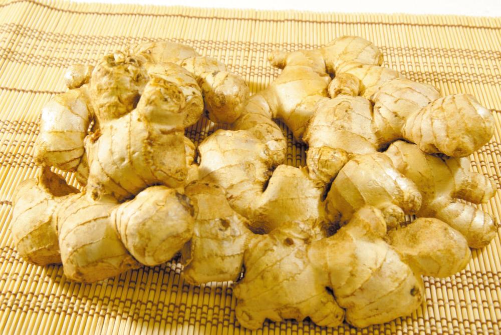 完売御礼【春予約】　国産　大身しょうが　５００ｇ　【申込期限：３月２２日（日）】　【引渡予定日：４月１１日（土）～１９日（日）】