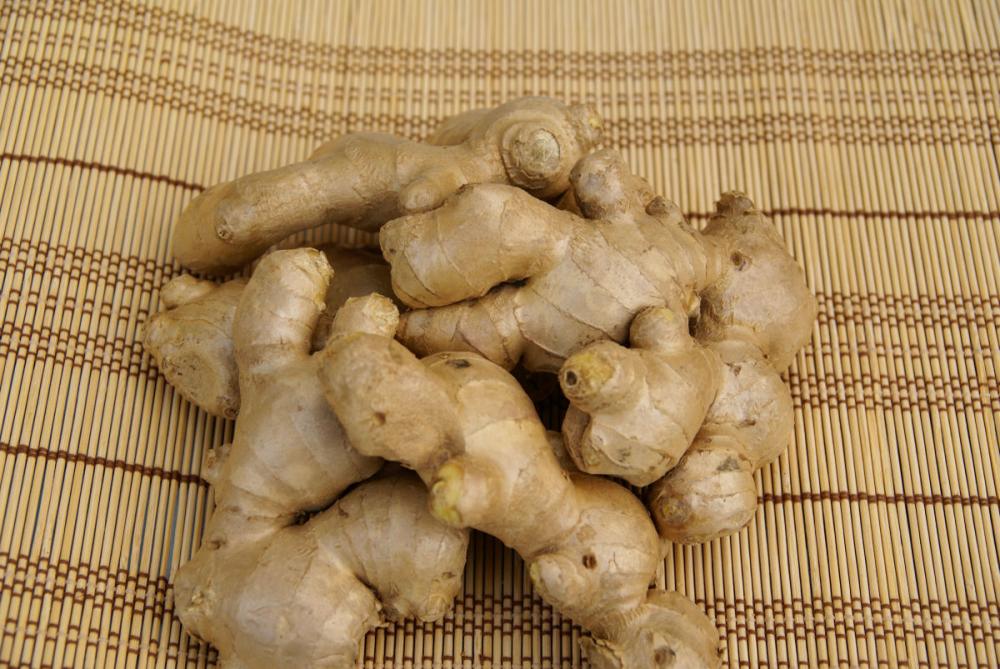 中国産　三州生姜　５００ｇ