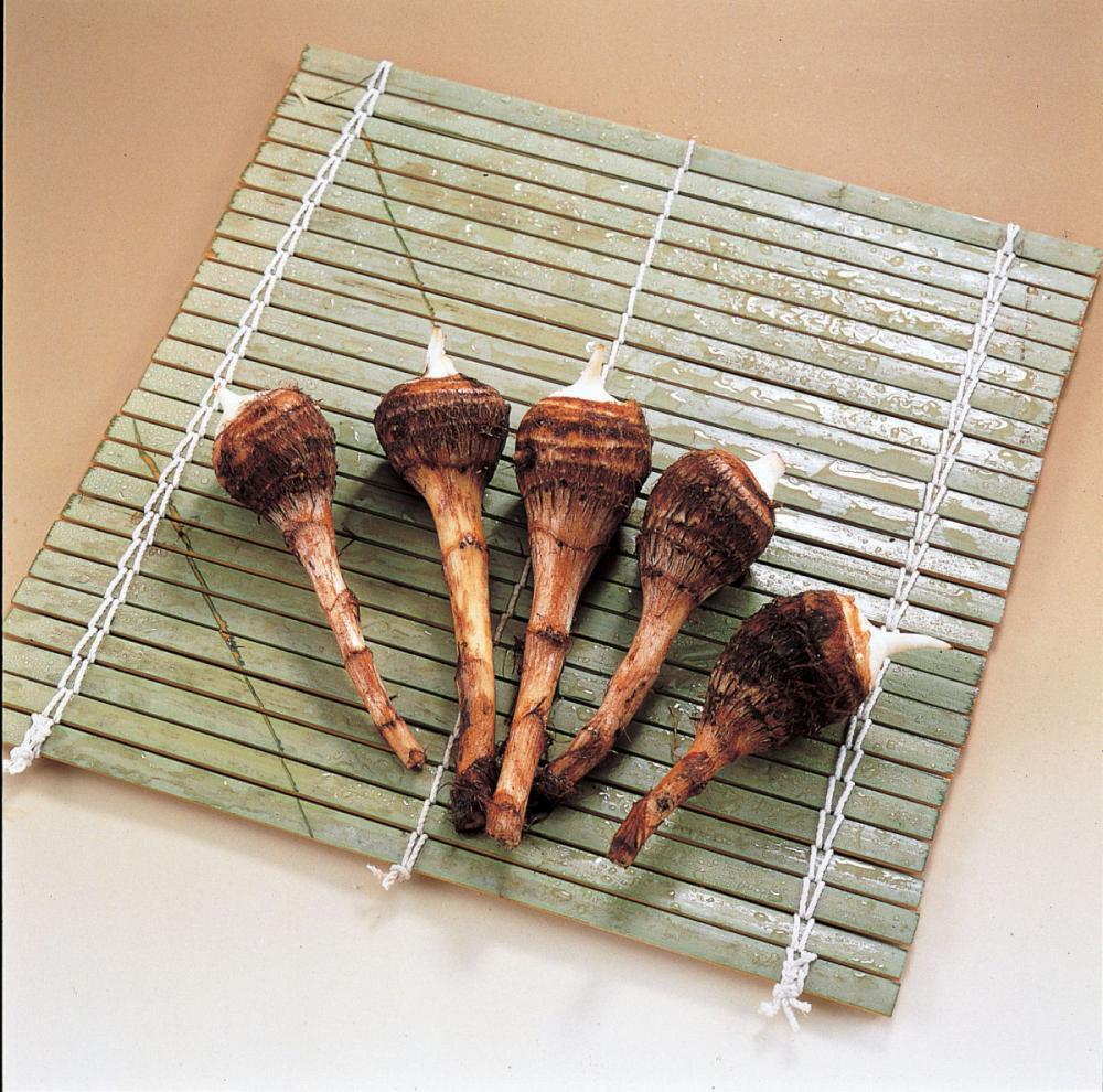 【春予約】　国産　里芋　八つ頭　２００ｇ　【申込期限：３月２２日（日）】　【引渡予定日：４月１１日（土）～１９日（日）】