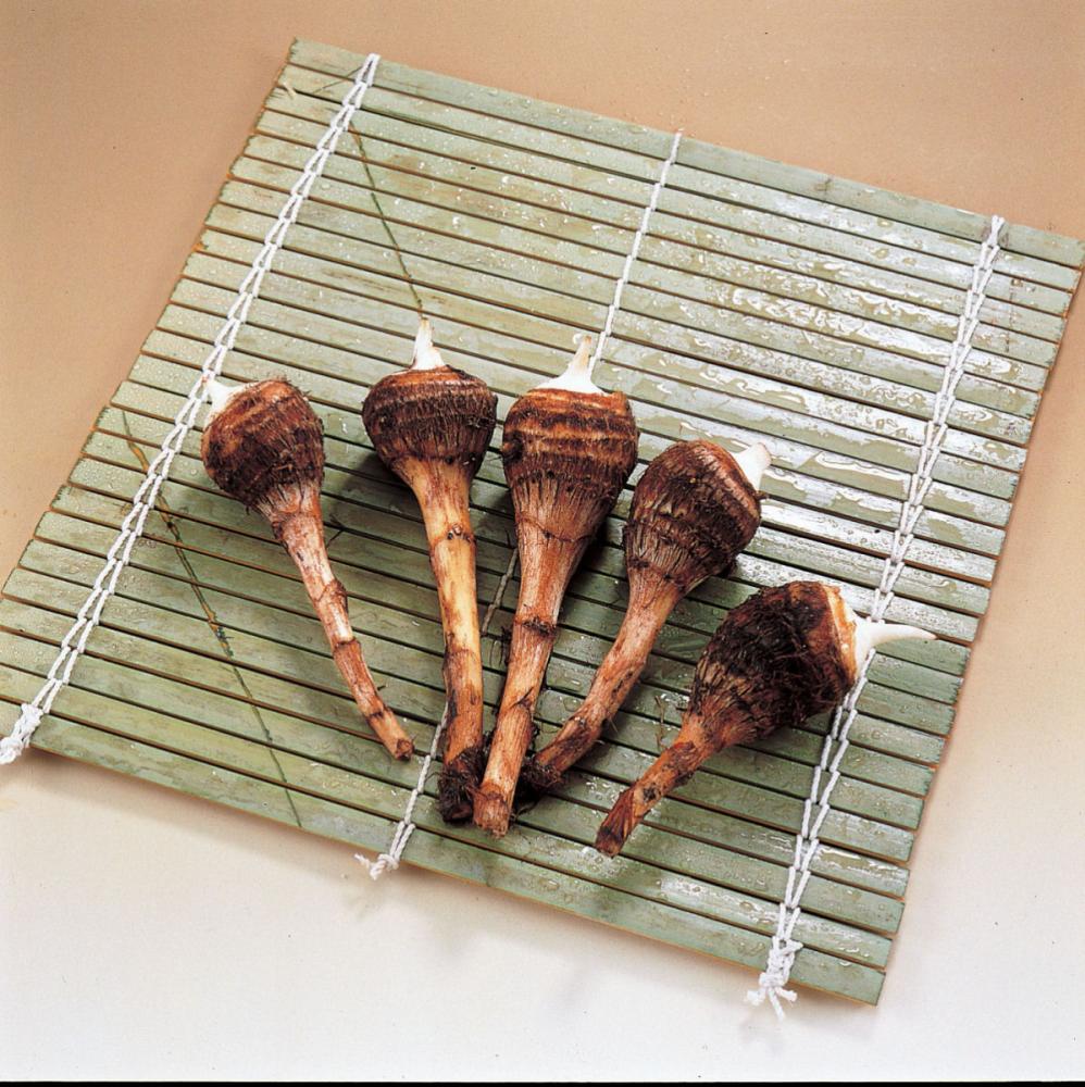 【春予約】　国産　里芋　八つ頭　５００ｇ　【申込期限：３月２２日（日）】　【引渡予定日：４月１１日（土）～１９日（日）】