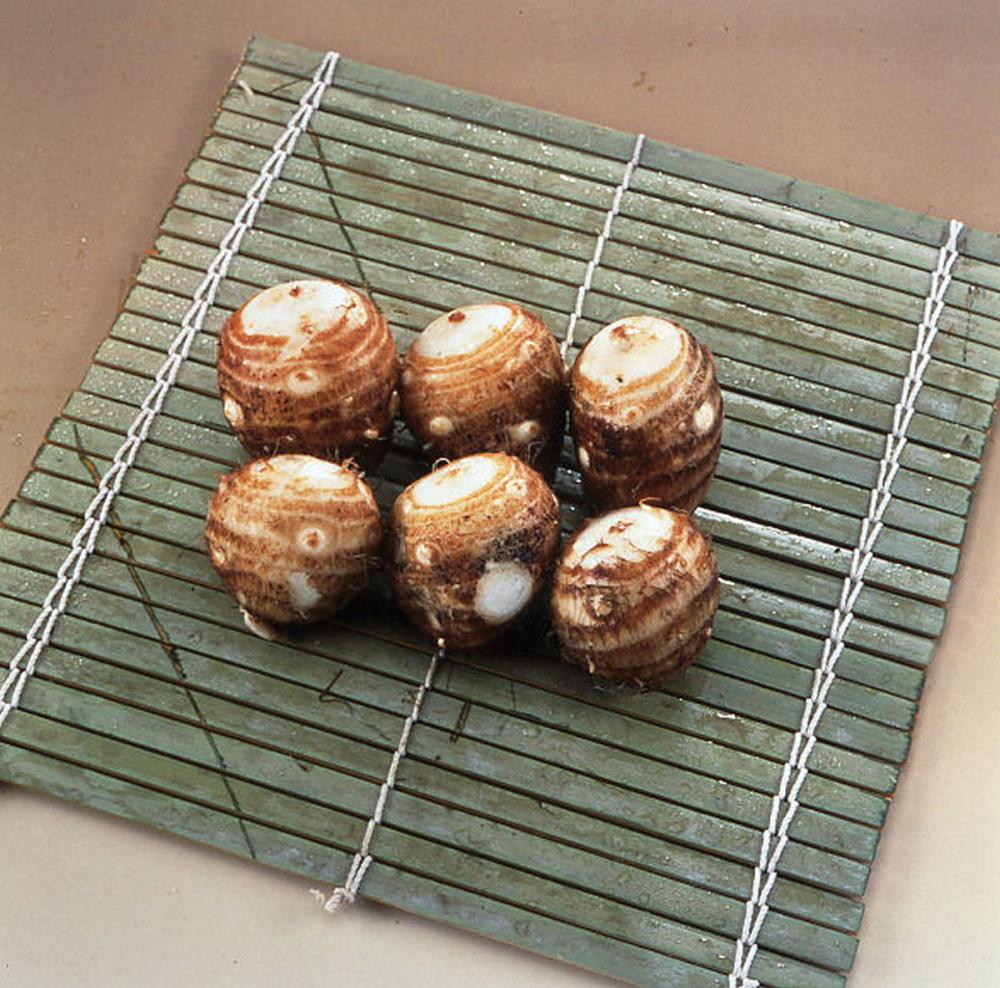 国産　里芋　石川早生　５００ｇ