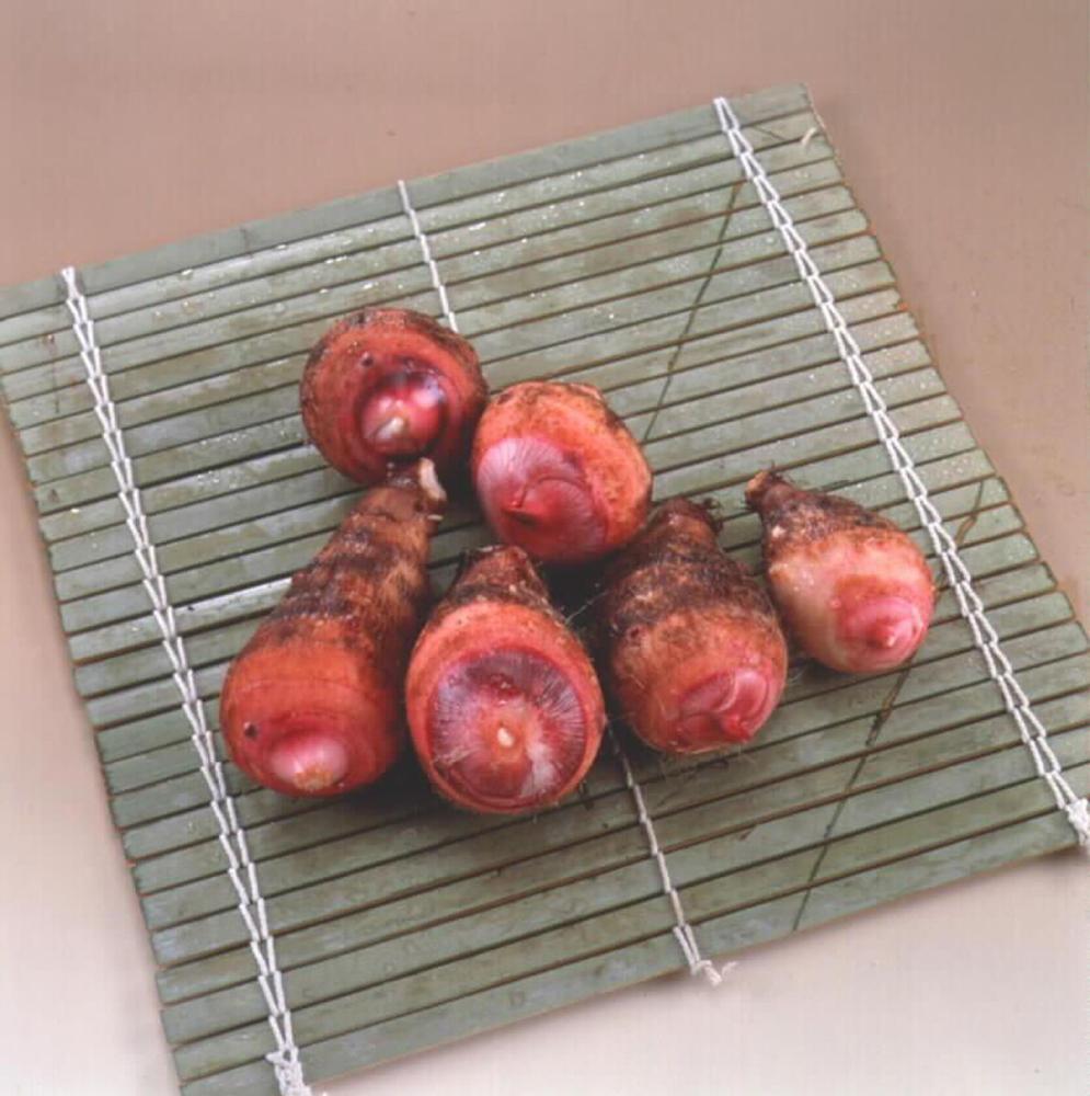 中国産　里芋　赤芽大吉（セレベス）　５００ｇ