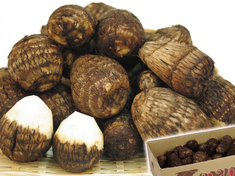 中国産　里芋　土垂　１ｋｇ