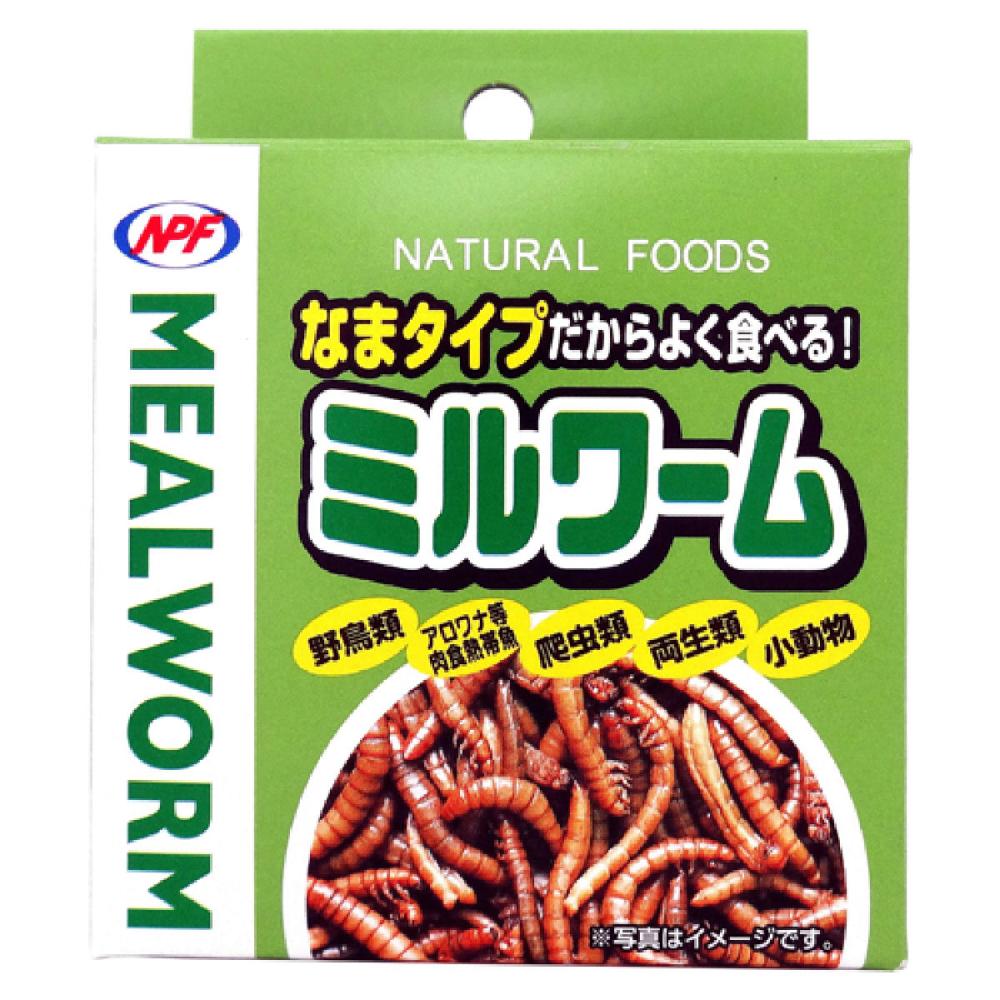 ミルワーム　３５ｇ