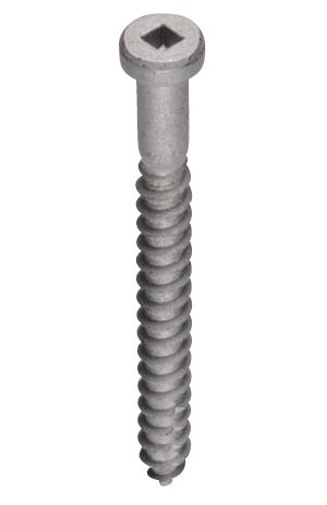 タナカビスＴＢＢ－７５（２０本）