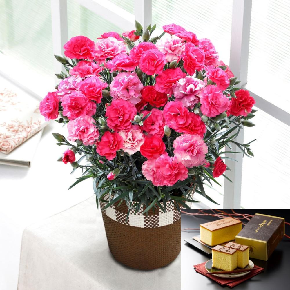 【母の日ギフト】　カーネーション　さくらもなか＆カステラ　【申込期限：５月６日】【お届け予定日：５月７日～１０日】