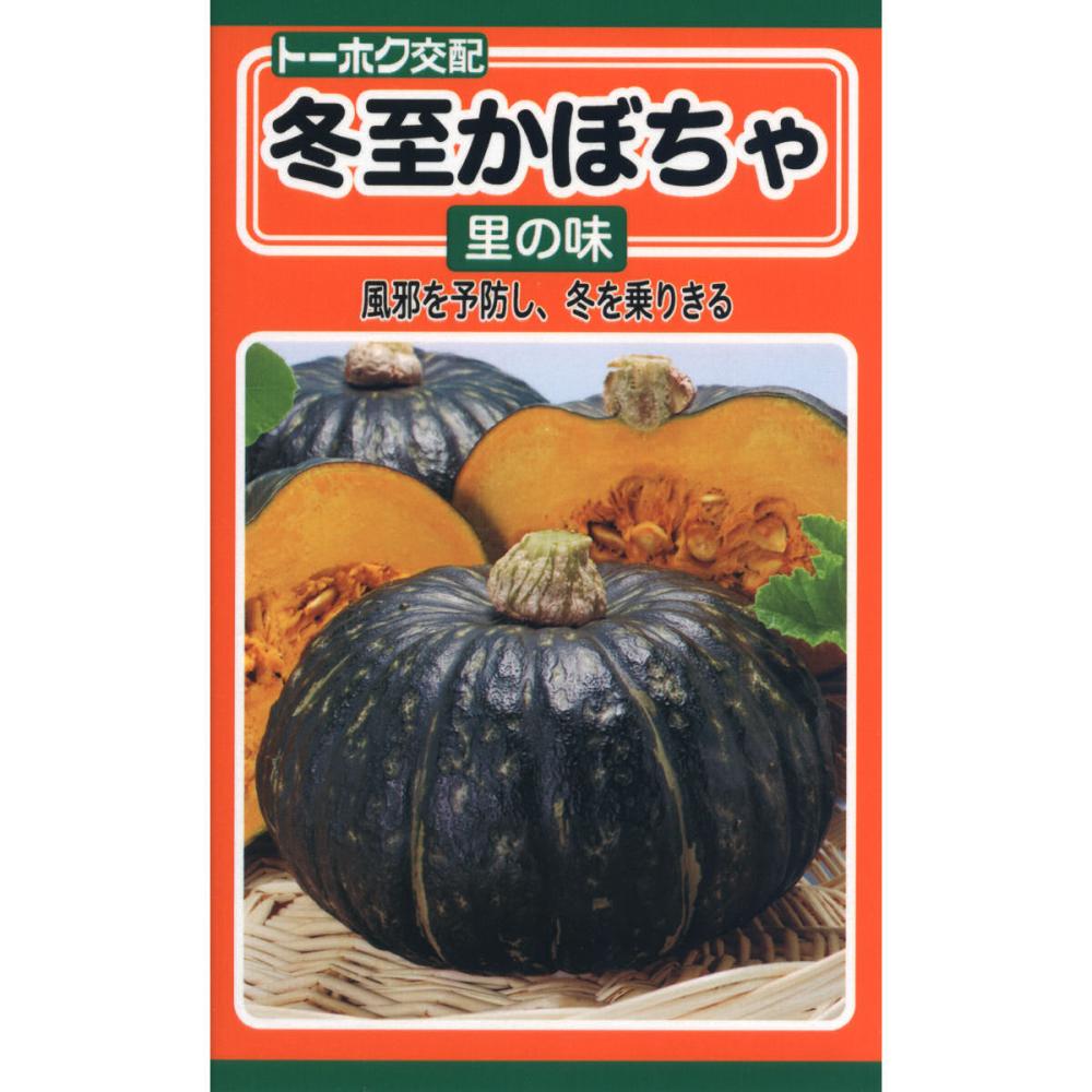 Ｆ１　冬至かぼちゃ　里の味