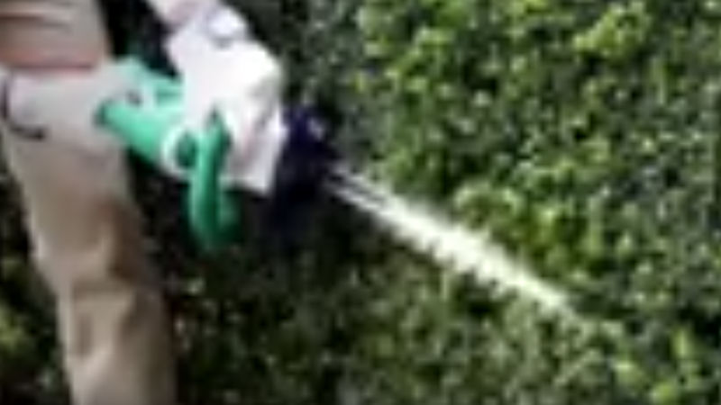 商品動画サムネイル