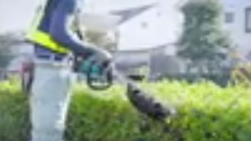 商品動画サムネイル