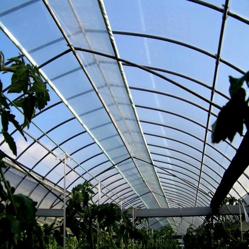 ＰＯ原反スカイコート　０．１×１５０×１００