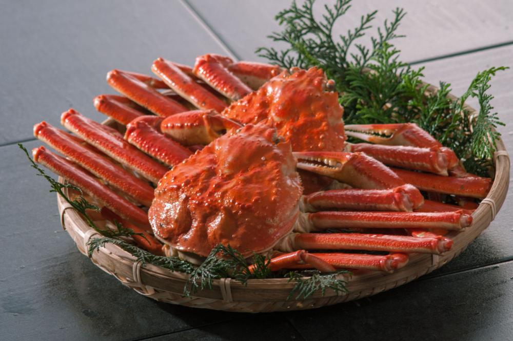 本ズワイ蟹２尾（総量１．１ｋ前後）