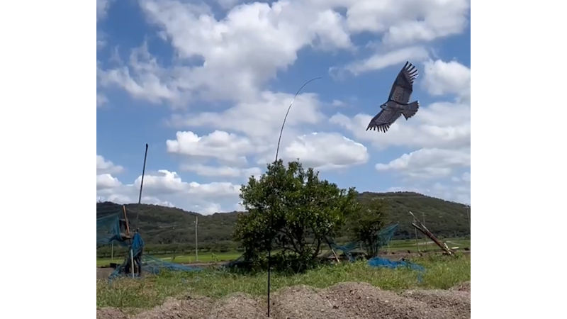 商品動画サムネイル