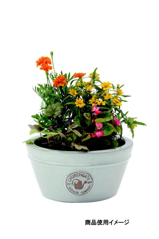 陶器鉢浅型　ボール　直径２７×１３ｃｍ