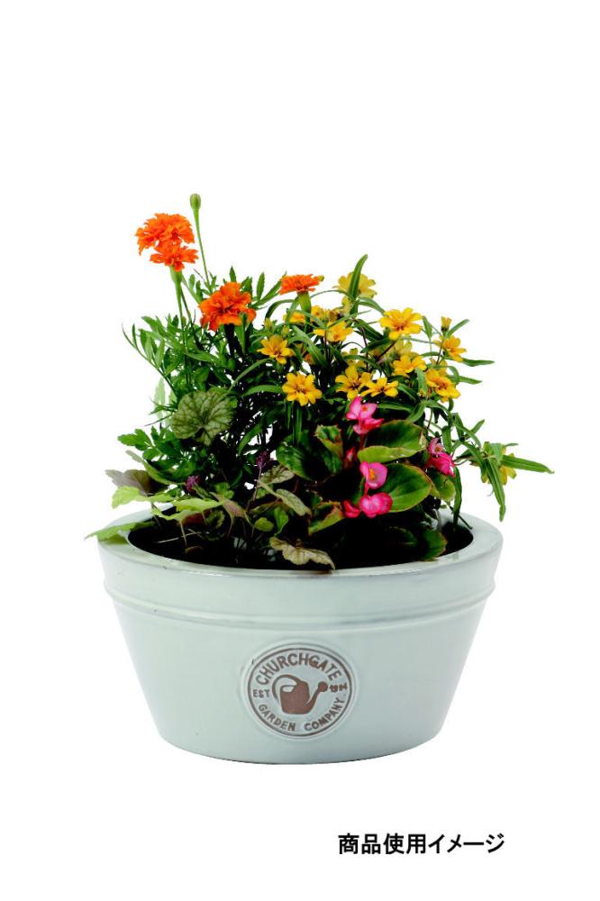 陶器鉢浅型　ボール　直径３４×１６ｃｍ