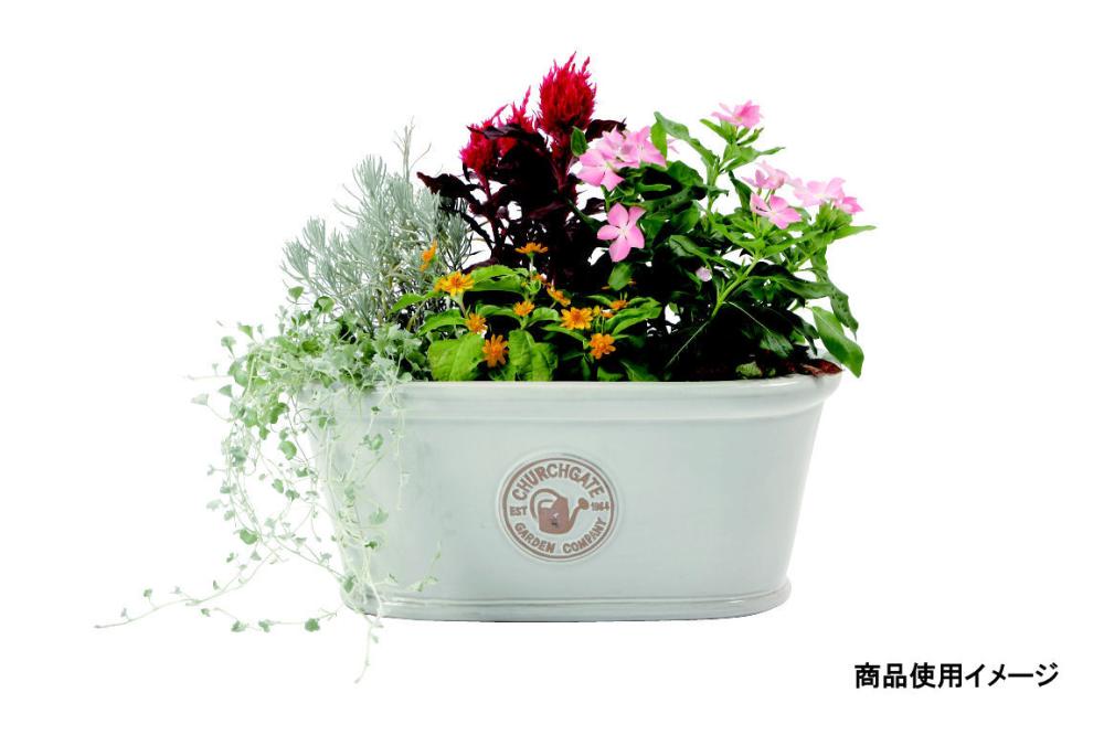 陶器鉢オーバル　幅３２×奥行１５．５×高さ１３．５ｃｍ