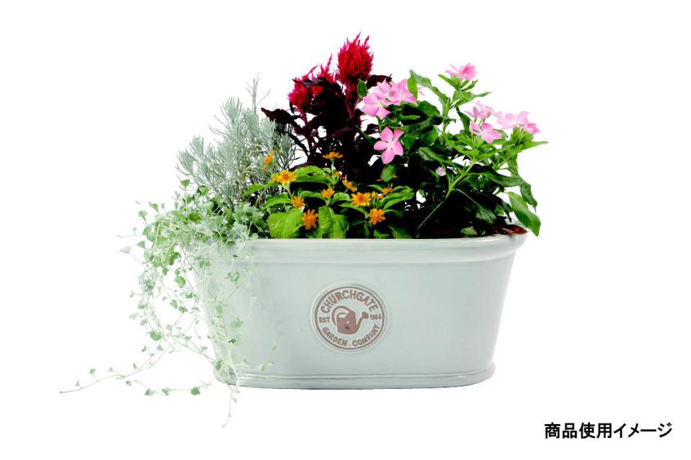 陶器鉢オーバル　幅４２×奥行２２．５×高さ１８．５ｃｍ