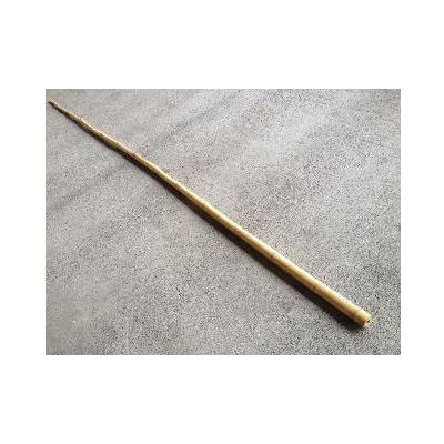 白竹　約１００ｃｍ　東北地区・新潟県・山形県・宮城県の一部限定