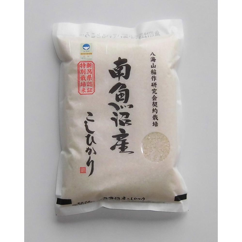 新潟県魚沼市産　令和７年度　新潟県認証特別栽培米　魚沼産こしひかり米輝　玄米３０ｋｇ