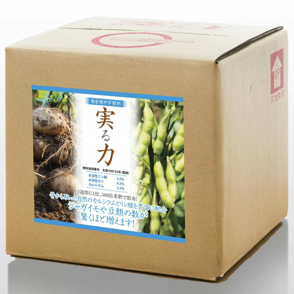 実る力　５ｋｇ　箱