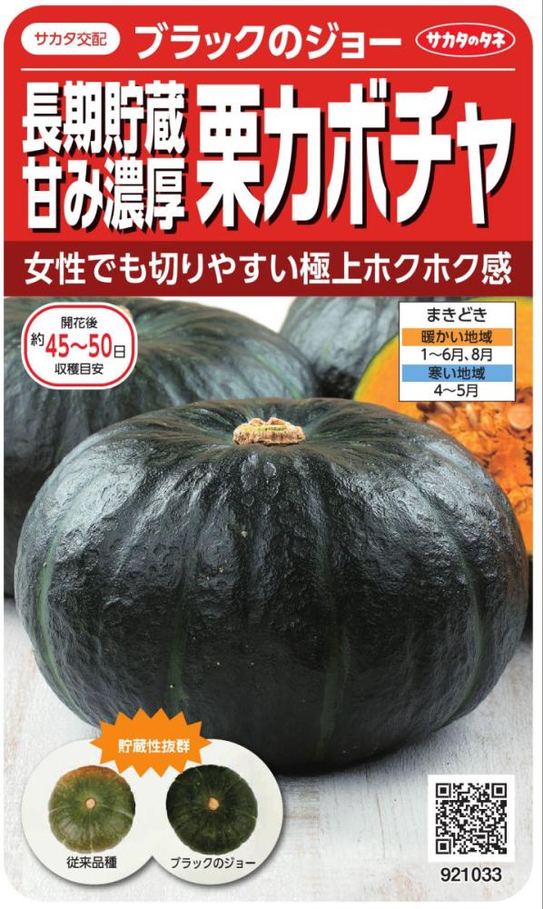 カボチャ種子　長期貯蔵甘み濃厚栗カボチャブラックのジョー