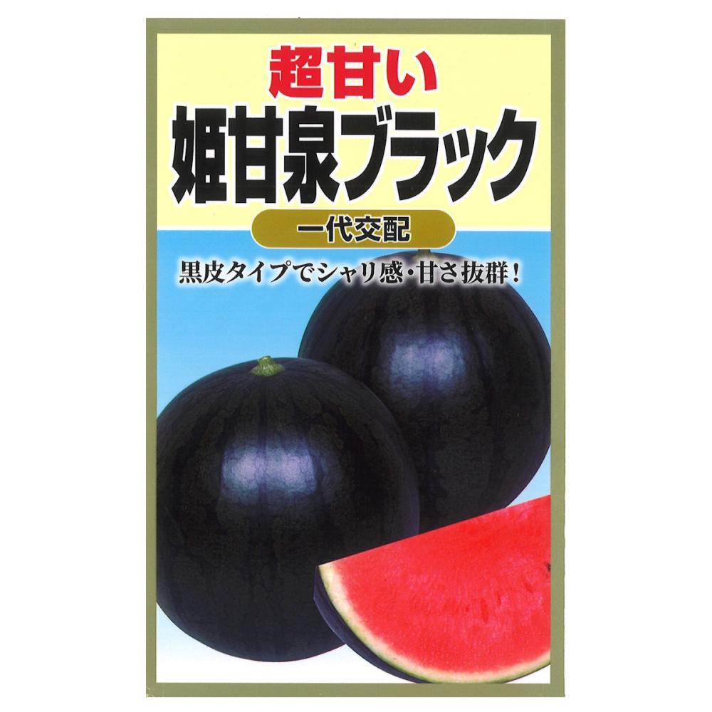 スイカ種子　姫甘泉ブラック