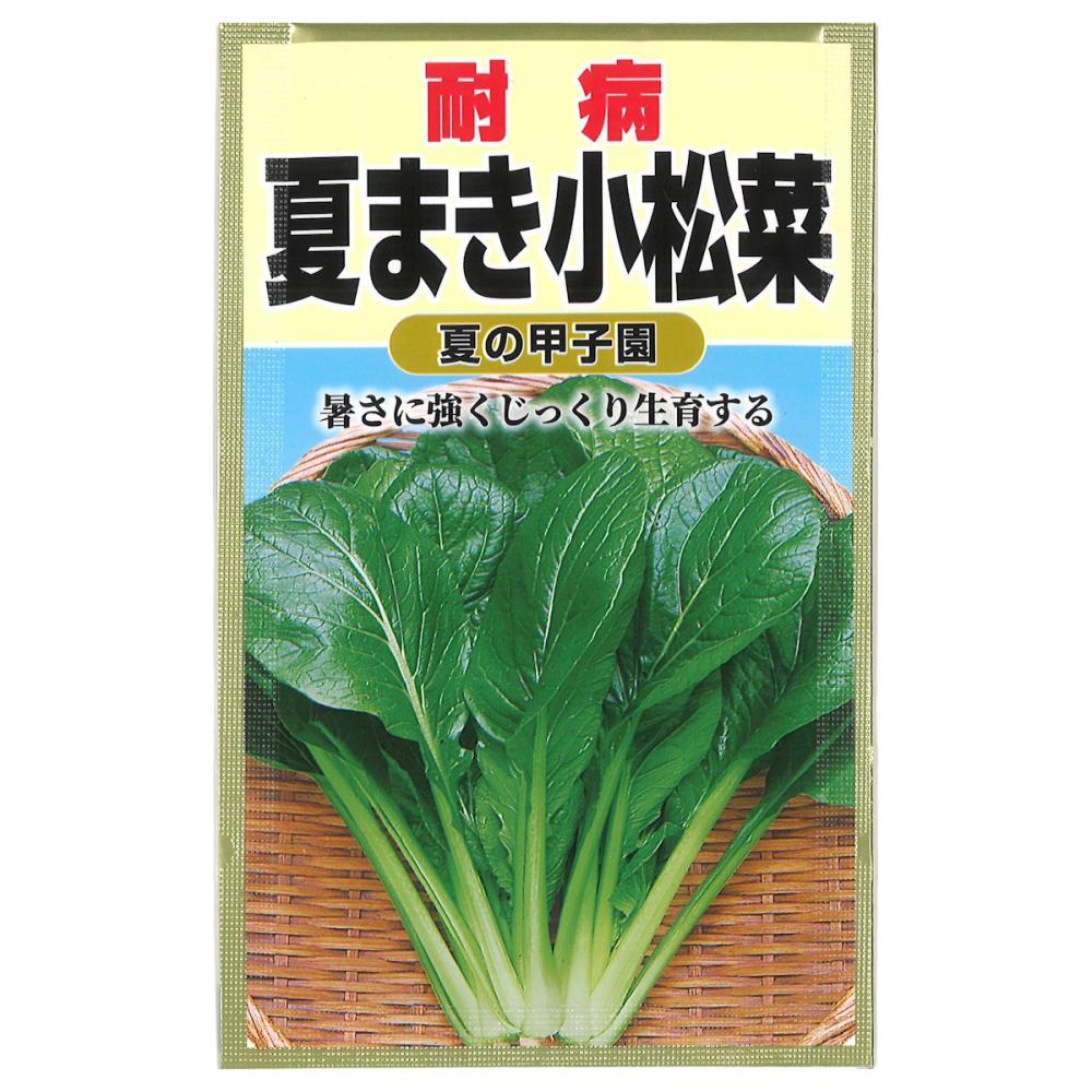 コマツナ種子　夏まき小松菜
