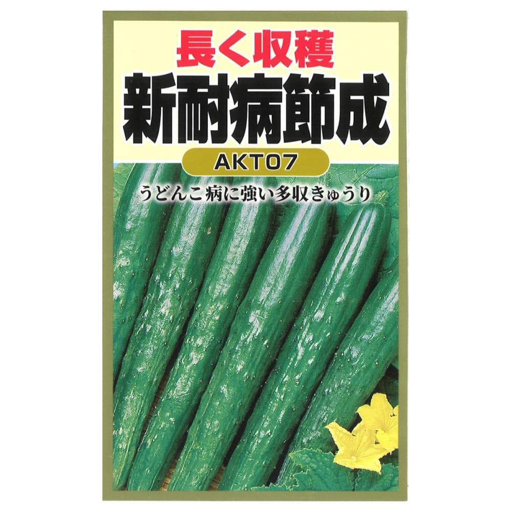 キュウリ種子　耐病新節成胡瓜
