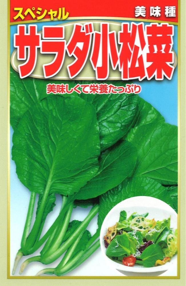 コマツナ種子　サラダ小松菜