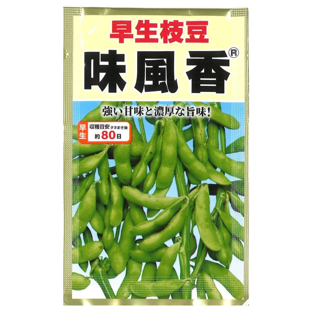 エダマメ種子　味風香