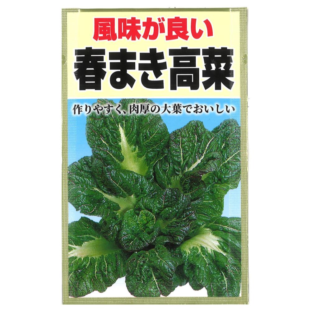 タカナ種子　春まき高菜