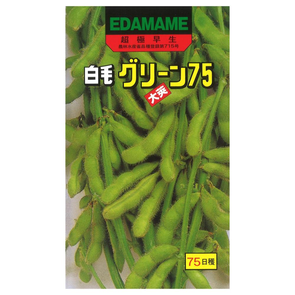 エダマメ種子　グリーン７５