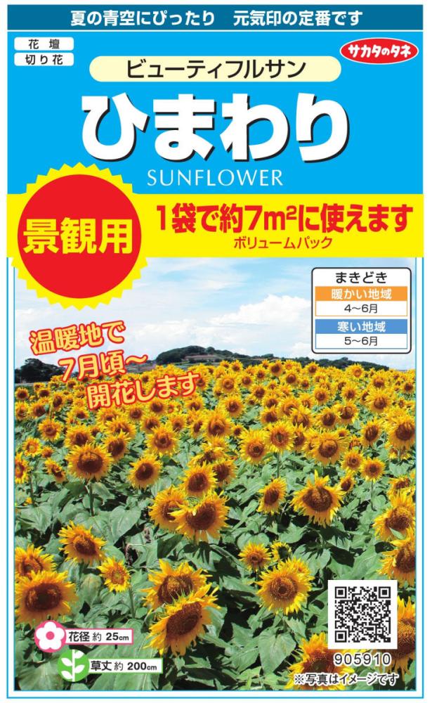 景観用大袋ヒマワリビューティフルサン