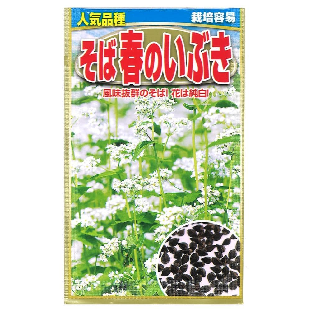 葉菜種子　そばの種　春のいぶき