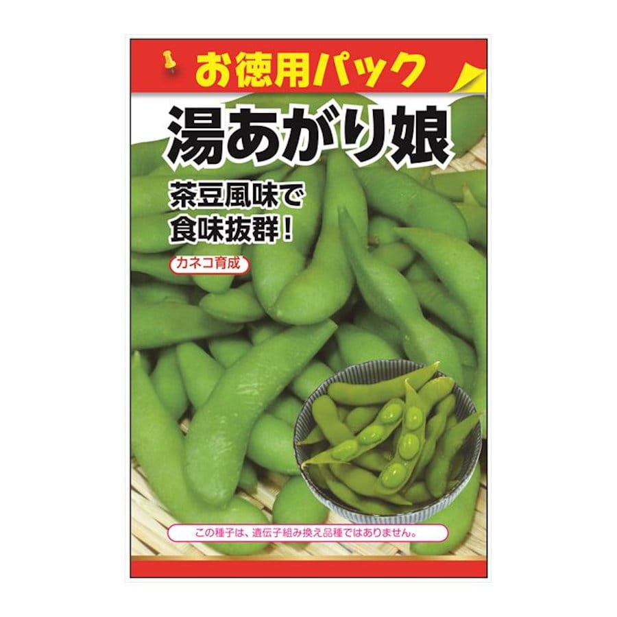 ニチノウのタネ　エダマメ種子　湯あがり娘　お徳用パック