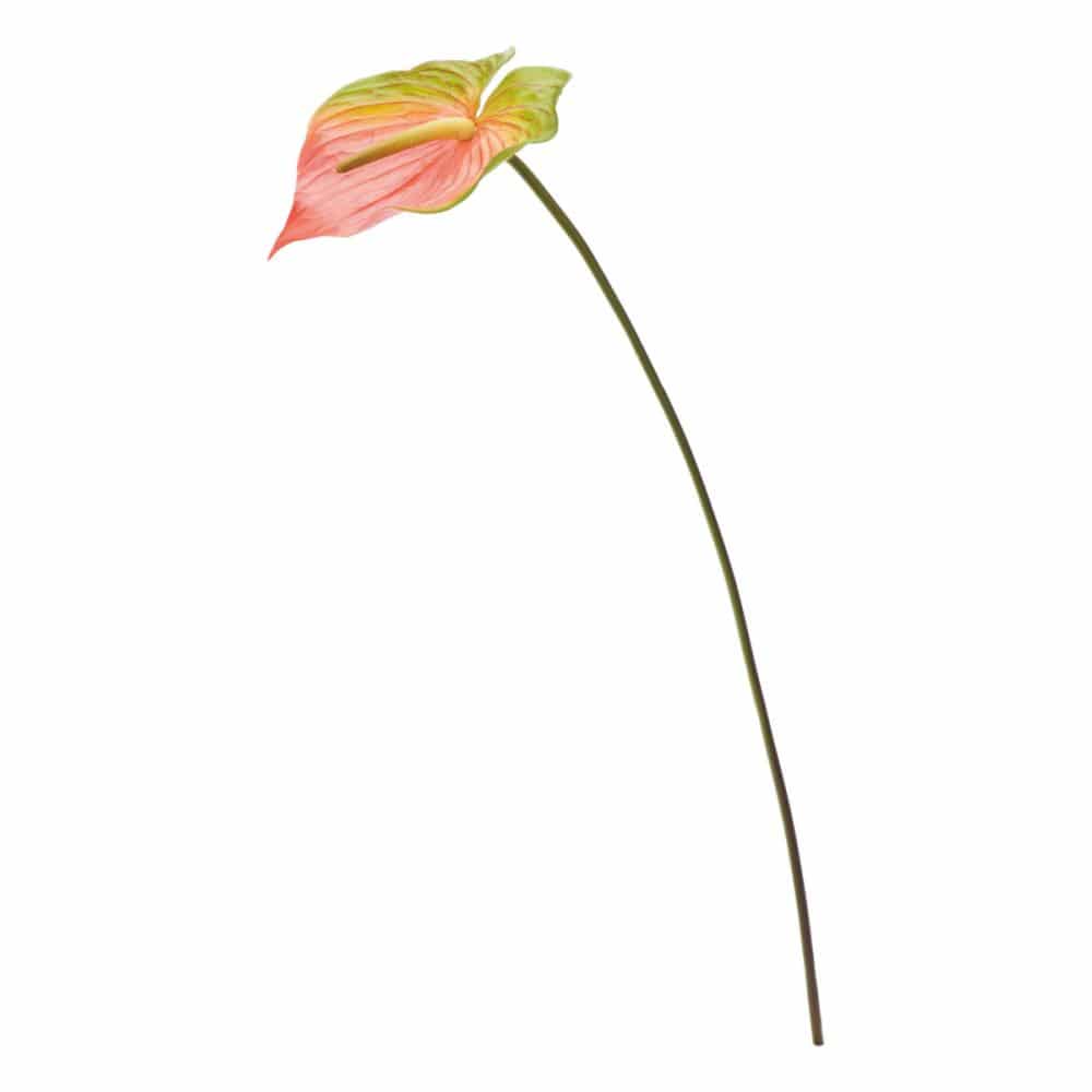 造花　アンスリューム