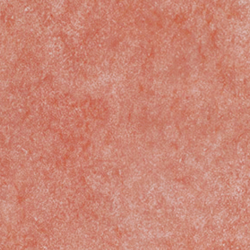 東リ　ビニル床タイル　ロイヤルウッド　ＰＳＴ４１３２（旧型番ＰＳＴ３１４０）