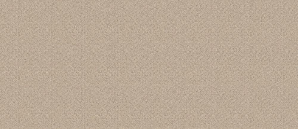 東リ　防滑性ビニル床シート　ＮＳ８００　ＮＳ８１５