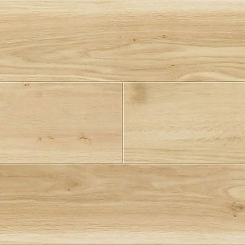 ＰＷＴ３２３４