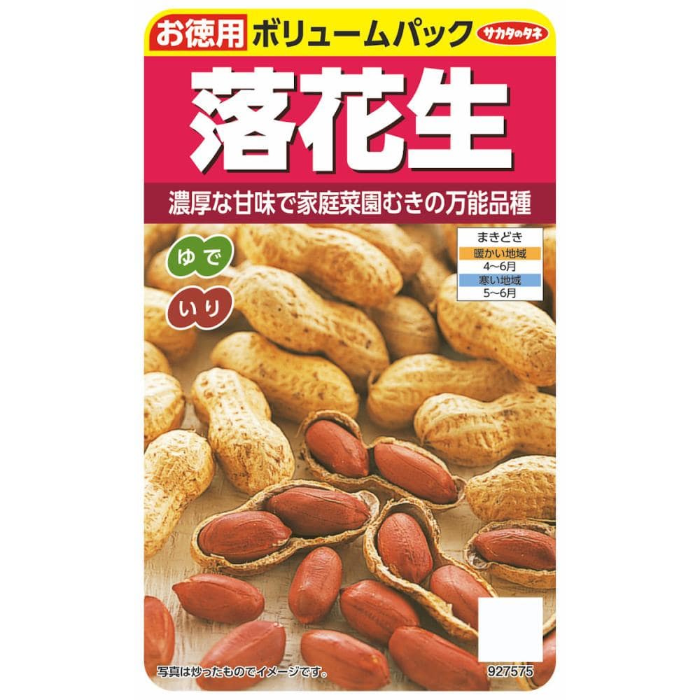 ラッカセイ種子　落花生【徳用】