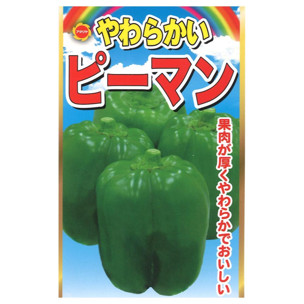 ピーマン種子　やわらかい　ピーマン