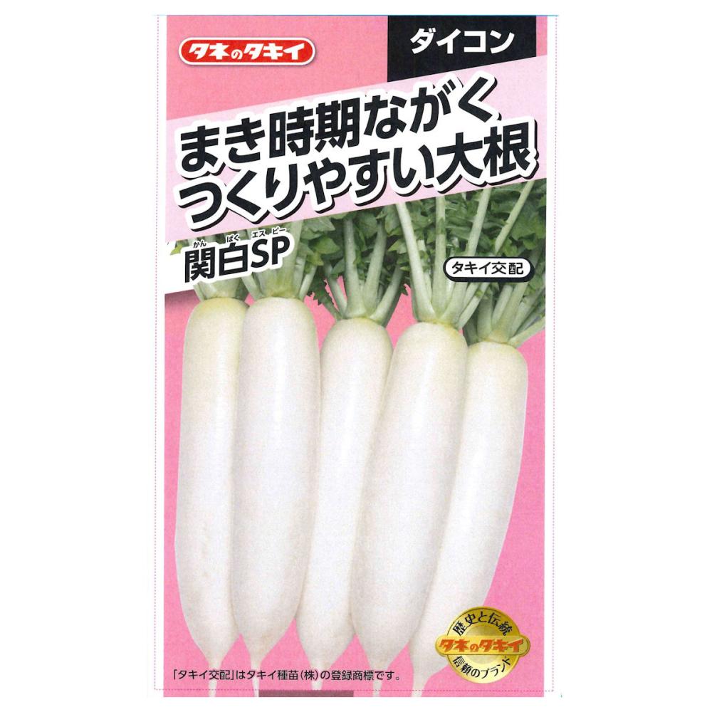 まき時期ながく　つくりやすい大根　関白ＳＰ