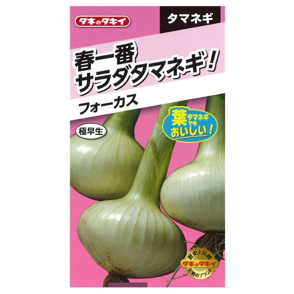 春一番サラダ玉葱　フォーカス