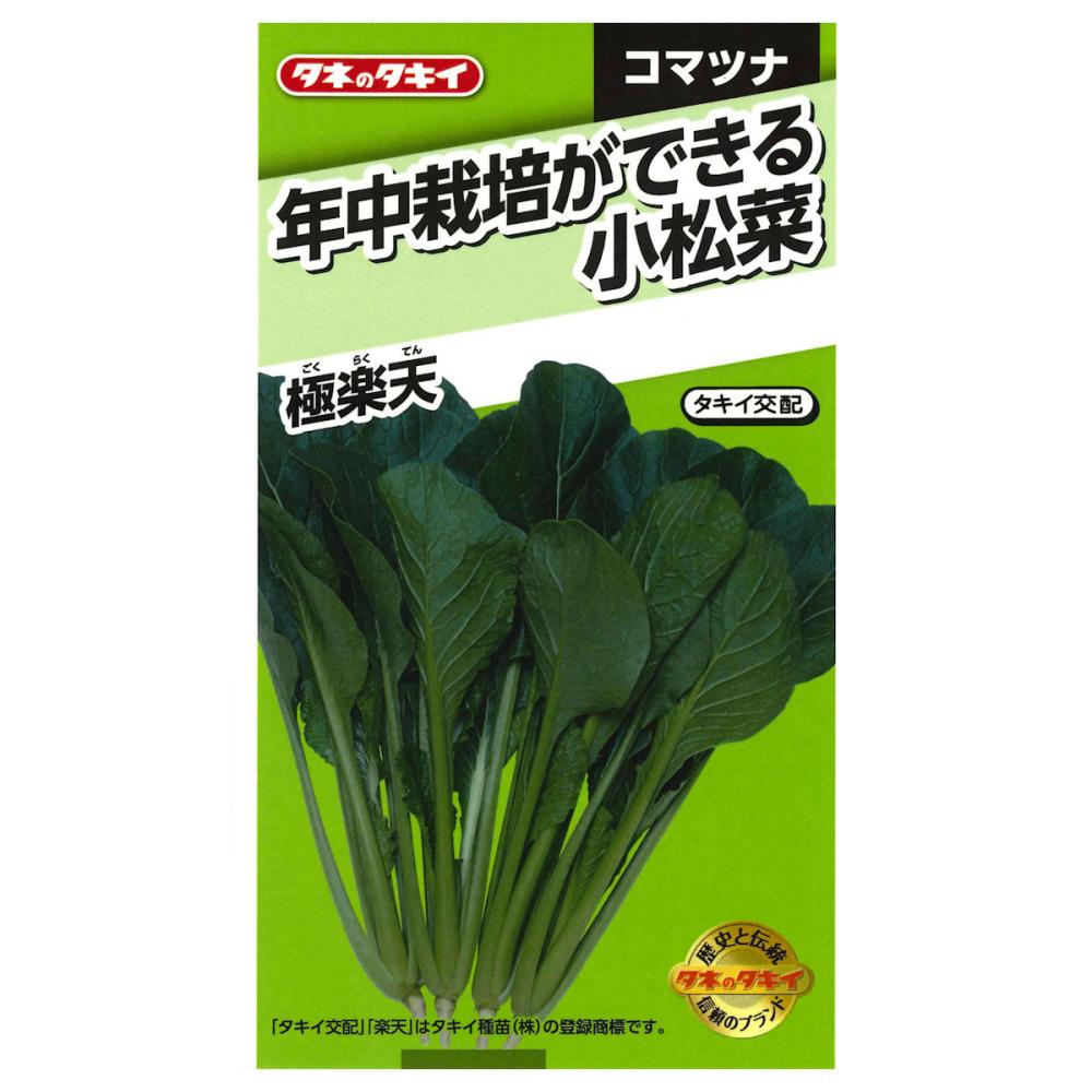 コマツナ種子　年中栽培ができる小松菜　極楽天