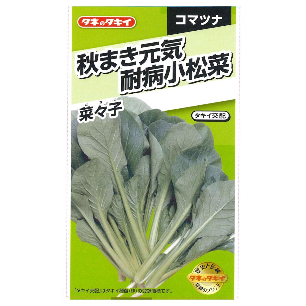 秋まき元気耐病小松菜　菜々子